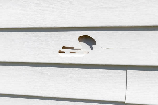 Best Construction Debris Removal  in Oak Hill, FL